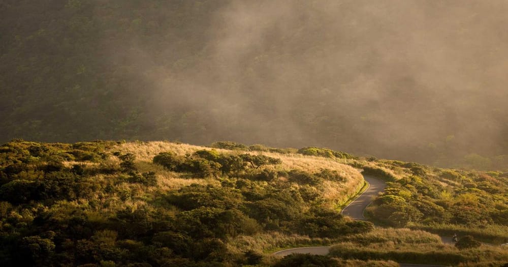 Claude Gets Legs: Anthropic's AI Can Now Act on Your Computer From Your Phone