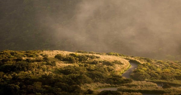 Claude Gets Legs: Anthropic's AI Can Now Act on Your Computer From Your Phone